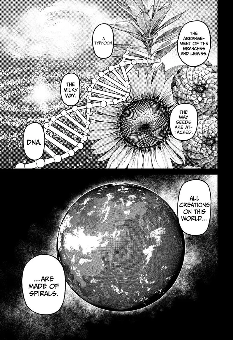 Turbo Granny explains that nature, galaxies, DNA, and all creations in this world are made up of spirals.